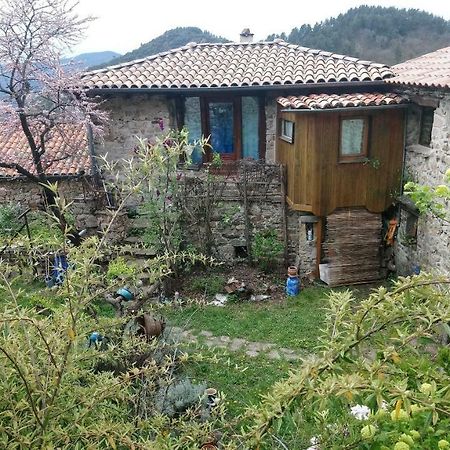Les 4 Saisons Hotel Dompnac Екстериор снимка